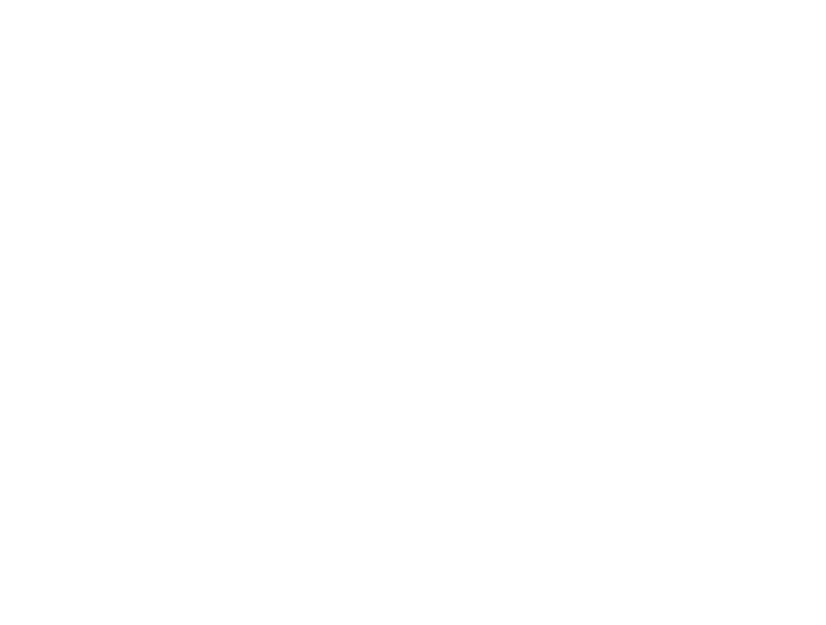 شركاء النجاح